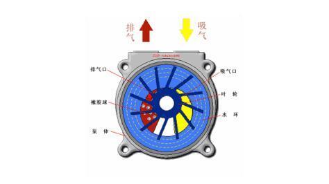 水環(huán)式真空泵工作原理